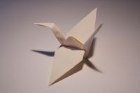 EXP 1 origami Kranich.jpg