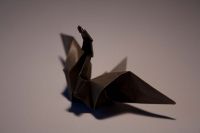 EXP 1 origami Schwan.jpg