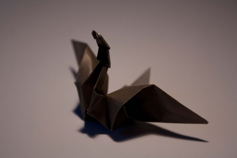 File:EXP 1 origami Schwan.jpg
