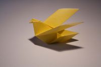 EXP 1 origami Taube.jpg