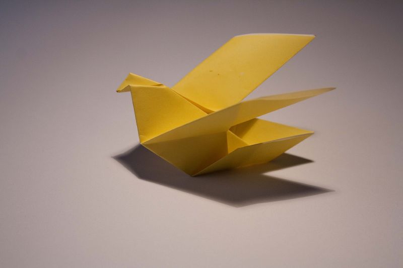 File:EXP 1 origami Taube.jpg