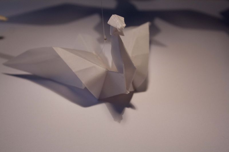 File:EXP 3 shwadow 1.jpg