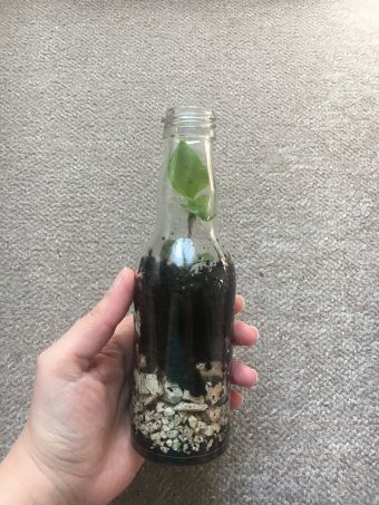 E (7).JPG