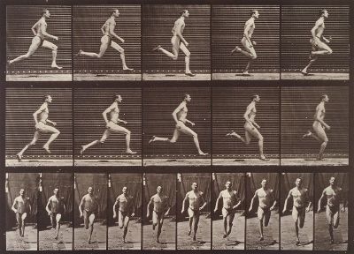 Eadweard Muybridge ref2.jpg