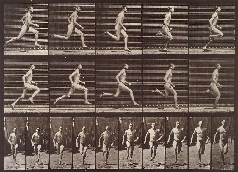 File:Eadweard Muybridge ref2.jpg