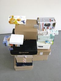 Die Kartonssammlung]