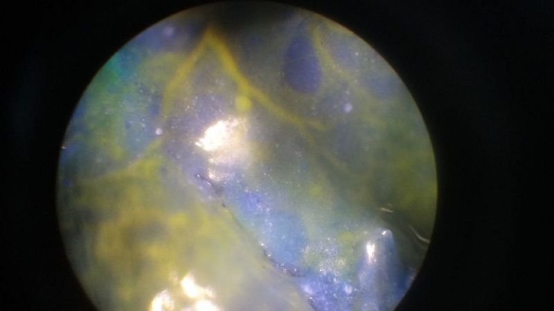 File:Exp 13.06 10.jpg
