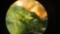 Thumbnail for version as of 11:27, 13 June 2026