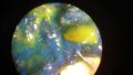 Thumbnail for version as of 11:23, 13 June 2026