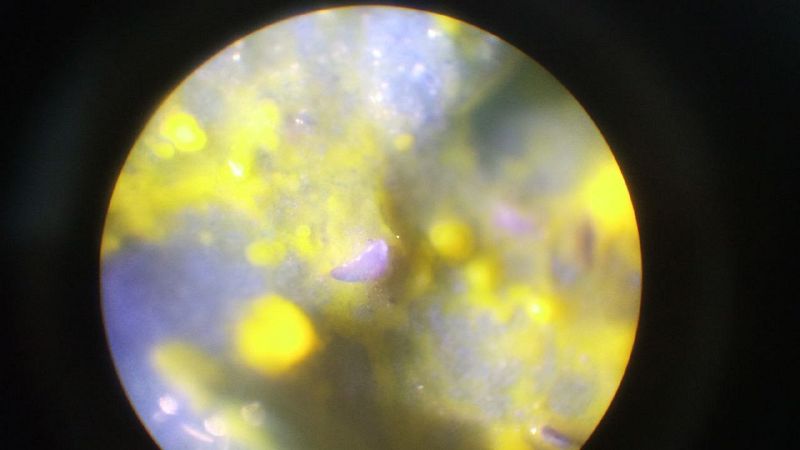 File:Exp 13.06 6.jpg