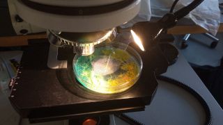 Exp 18.05 11.jpg