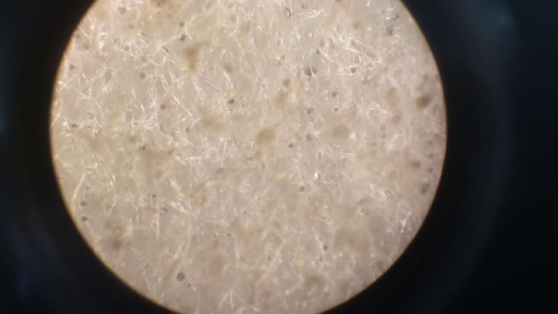 File:Exp 18.05 18.jpg