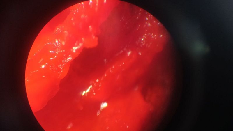 File:Exp 18.05 25.jpg