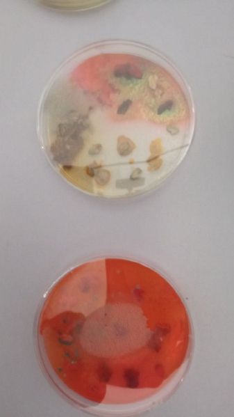 File:Exp 18.05 3.jpg