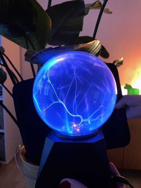 File:Experiment- touching plant 1.jpg
