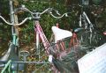 bild6