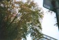 bild10