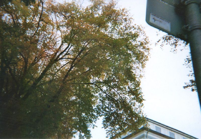 File:F010.jpg