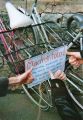 bild19