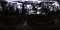 Thumbnail for version as of 00:38, 27 October 2022