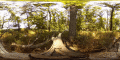 Thumbnail for version as of 00:15, 27 October 2022