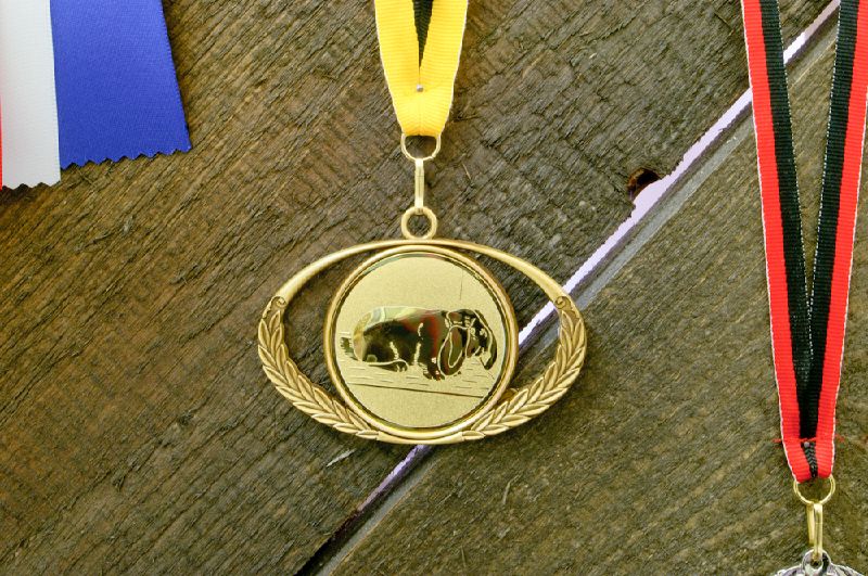 File:Felixsattler domestikation medals detail.jpg