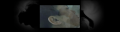 Thumbnail for version as of 17:51, 2 November 2011