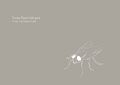 Thumbnail for version as of 22:24, 29 January 2013