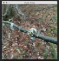 Thumbnail for version as of 17:22, 6 December 2015