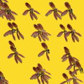 Thumbnail for version as of 14:29, 11 April 2016