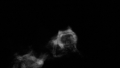 Thumbnail for version as of 16:38, 24 February 2014