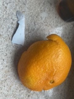 File:Food-test1.jpeg