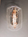 Thumbnail for version as of 15:37, 5 April 2016