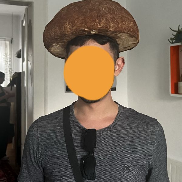 File:Friend2.jpg