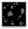 Thumbnail for version as of 13:06, 12 July 2013