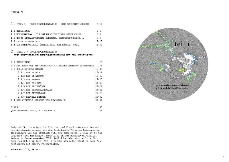 File:Gelbesblut mayavieth2.jpg