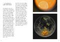 Thumbnail for version as of 16:11, 11 November 2020
