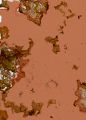 Thumbnail for version as of 17:08, 11 November 2020