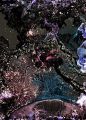 Thumbnail for version as of 17:07, 11 November 2020