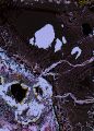 Thumbnail for version as of 17:07, 11 November 2020