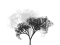 Thumbnail for version as of 07:44, 30 January 2013