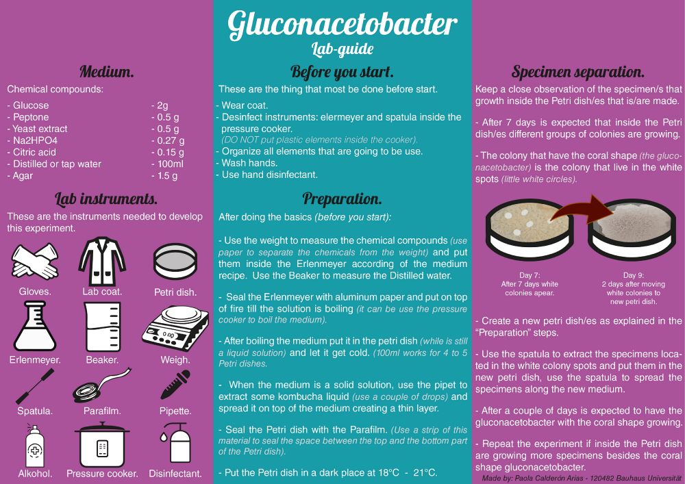 Gluconacetobacter lab guide.jpg