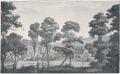 Thumbnail for version as of 13:36, 16 July 2015