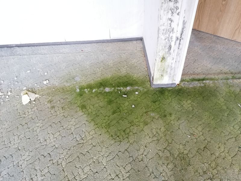 File:Grüne.jpg