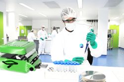 Green KitGenLabor5.jpg