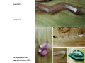 Thumbnail for version as of 23:11, 12 July 2012
