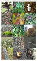 Thumbnail for version as of 15:00, 16 December 2015