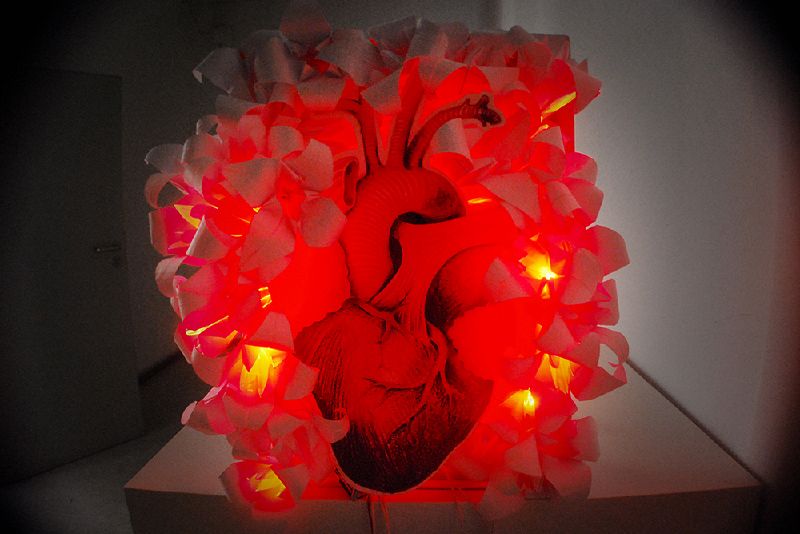 File:HEART008.jpg