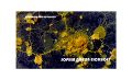 Thumbnail for version as of 12:21, 21 June 2022