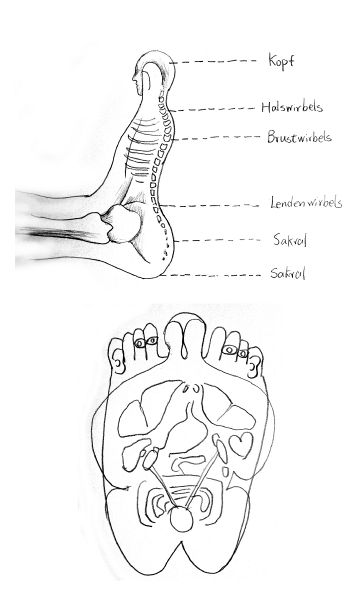 File:Hand11.jpg